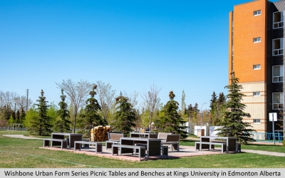 Wishbone Urban Form Benches and Picnic at Kings University in Edmonton Alberta